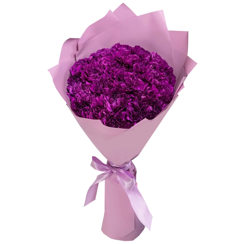Букет из 25 фиолетовых гвоздик