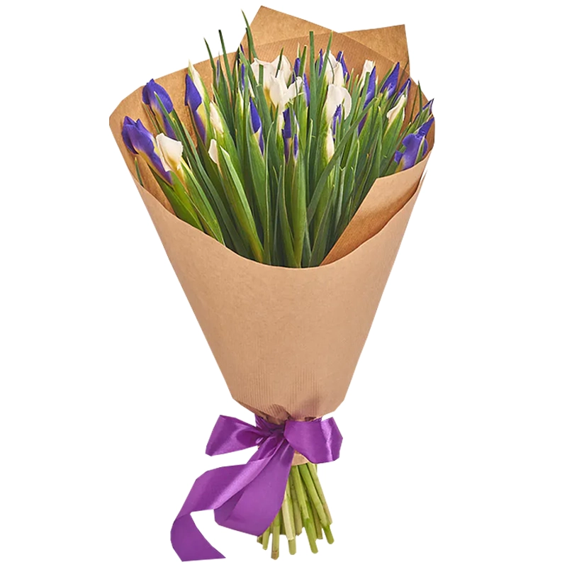 Букет из 35 ирисов микс